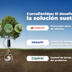 Curculiónidos publireportaje OCT