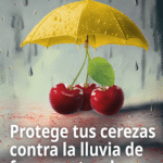 Mailing Parka lluvia