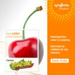 WhatsApp Image 2025-11-03 at 10.31.13