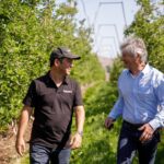 WhatsApp Image 2025-11-03 at 16.19.13