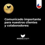 WhatsApp Image 2025-11-04 at 16.10.26