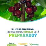 WhatsApp Image 2025-11-04 at 16.40.34