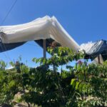 WhatsApp Image 2025-11-05 at 14.14.40