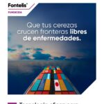 WhatsApp Image 2025-11-11 at 17.16.41