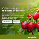 WhatsApp Image 2025-11-12 at 13.30.01