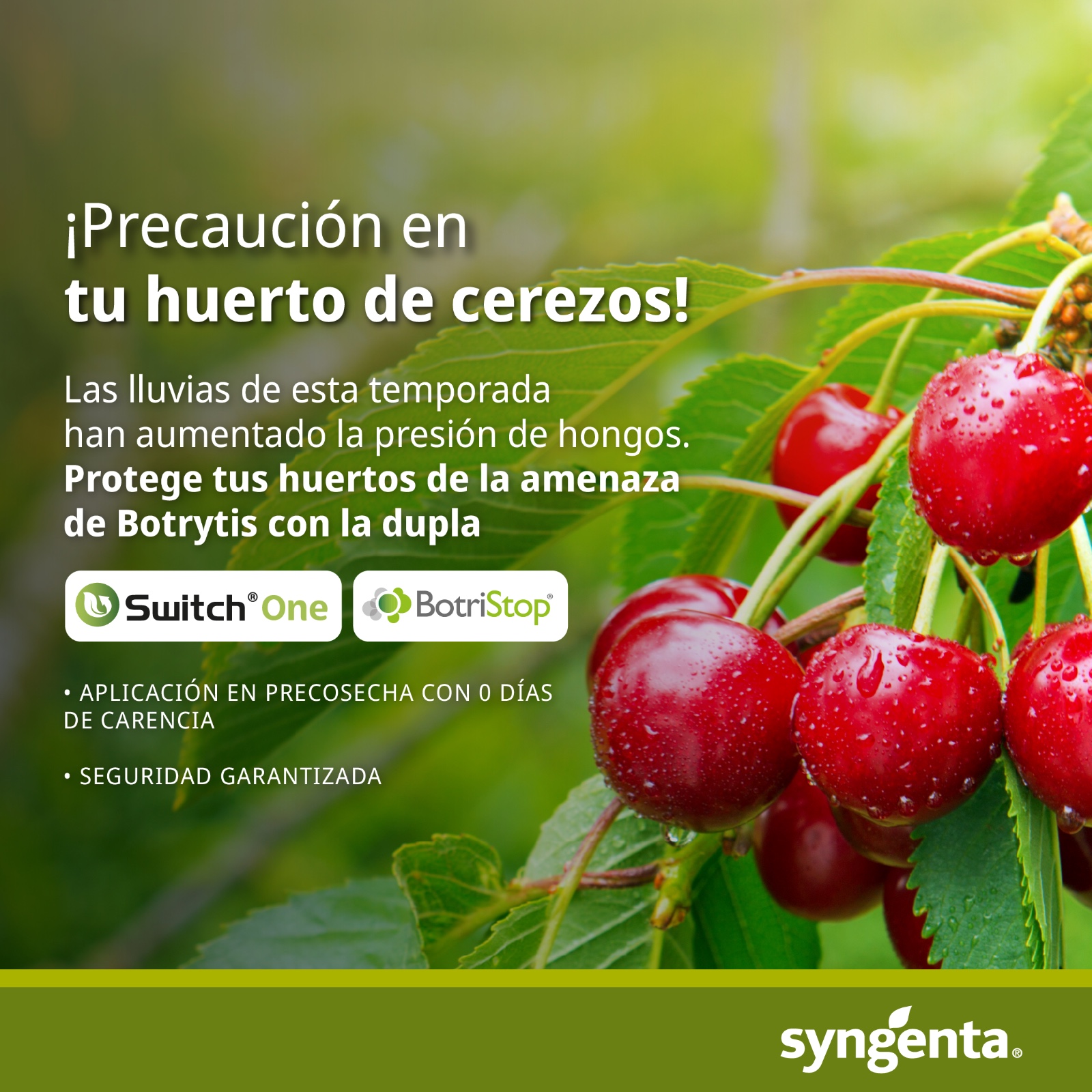 WhatsApp Image 2025-11-12 at 13.30