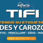 WhatsApp Image 2025-11-13 at 09.23.47