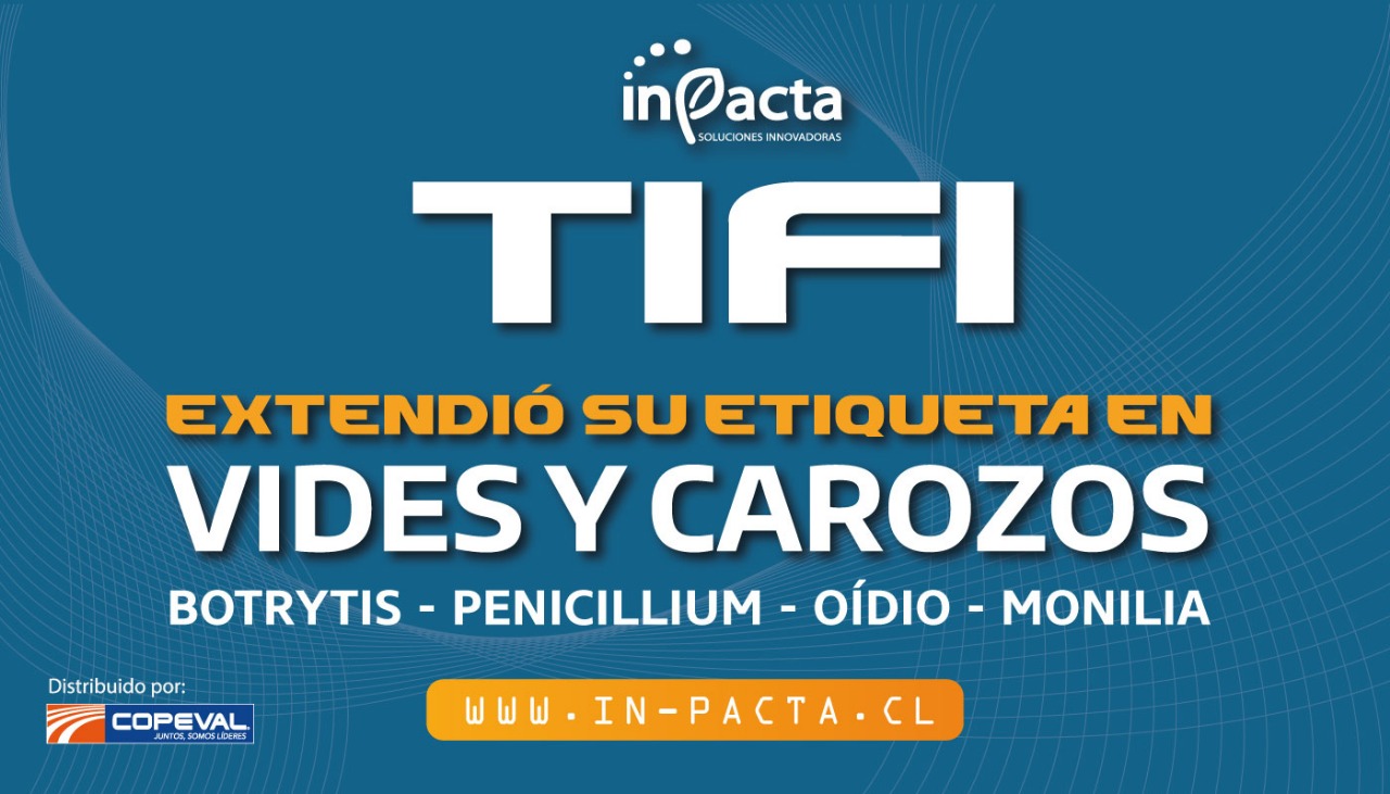 WhatsApp Image 2025-11-13 at 09.23