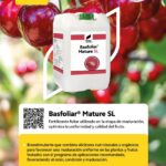 WhatsApp Image 2025-11-19 at 09.53.56