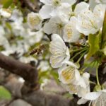 b2e50df4-fb8e-4fce-943d-a1c3435be910 (1)