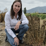 Captura de pantalla 2025-12-22 a la(s) 12.42.42 p.m.