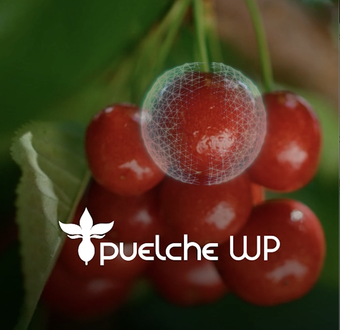 Captura de pantalla 2025-12-29 a la(s) 12.49.20 p.m