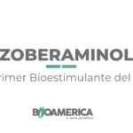 Captura de pantalla 2025-12-29 a la(s) 6.17.33 p.m.