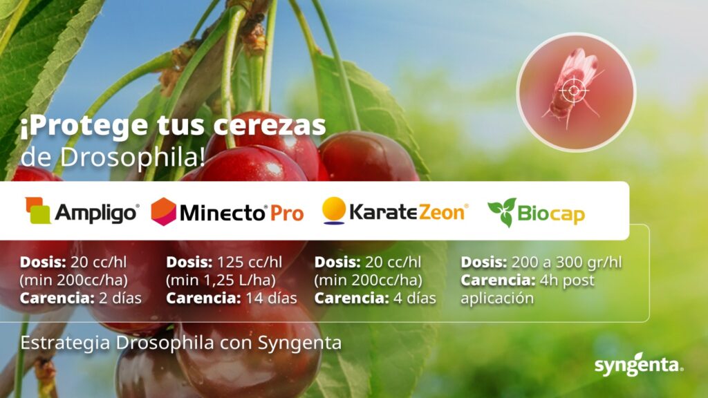 WhatsApp Image 2024-11-13 at 12.07