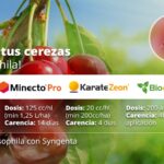 WhatsApp Image 2024-11-13 at 12.07.47