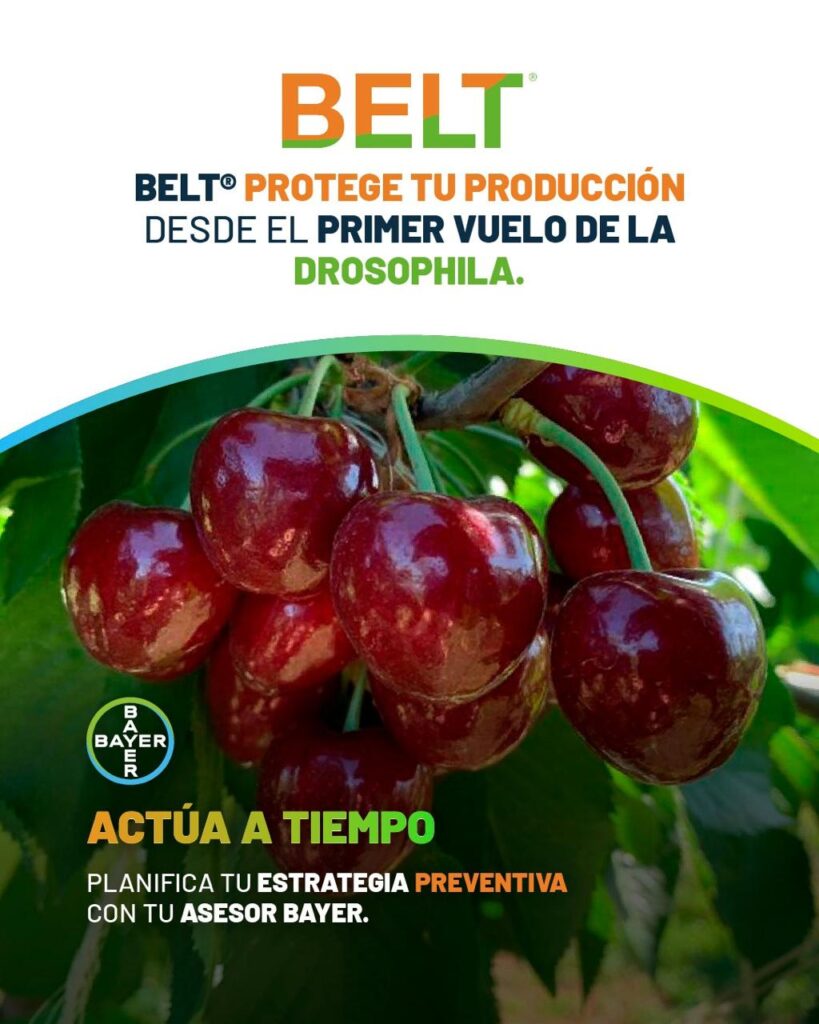 WhatsApp Image 2025-11-24 at 20.02