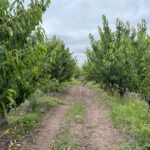 WhatsApp Image 2025-12-01 at 12.28.22