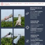 WhatsApp Image 2025-12-03 at 13.39.55 (1)