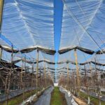 WhatsApp Image 2025-12-09 at 12.12.07