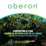 WhatsApp Image 2025-12-18 at 11.43.30 (2)