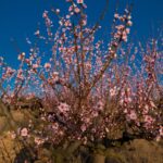 WhatsApp Image 2025-12-22 at 11.30.40