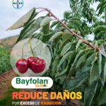 WhatsApp Image 2025-12-22 at 18.39.32