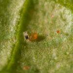 WhatsApp Image 2025-12-23 at 17.04.33