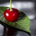 Ripe cherry