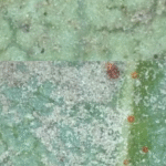 Captura de pantalla 2026-01-16 a la(s) 2.47.21 p.m.