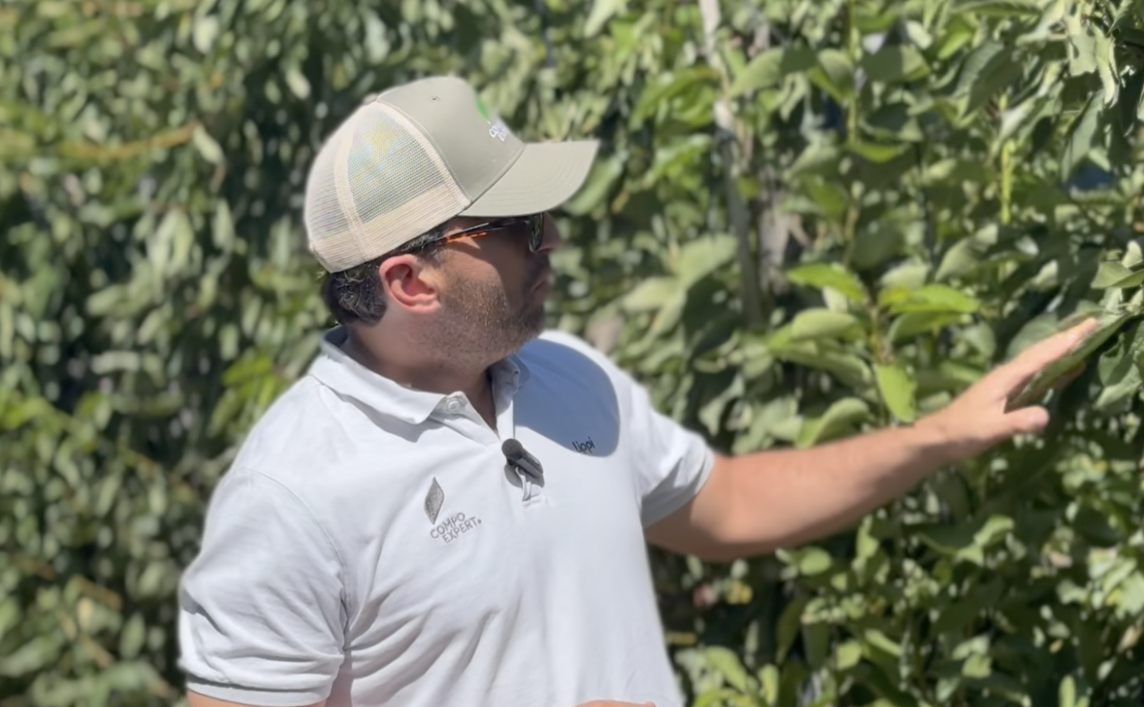 Captura de pantalla 2026-02-02 a la(s) 10.41.25 a.m