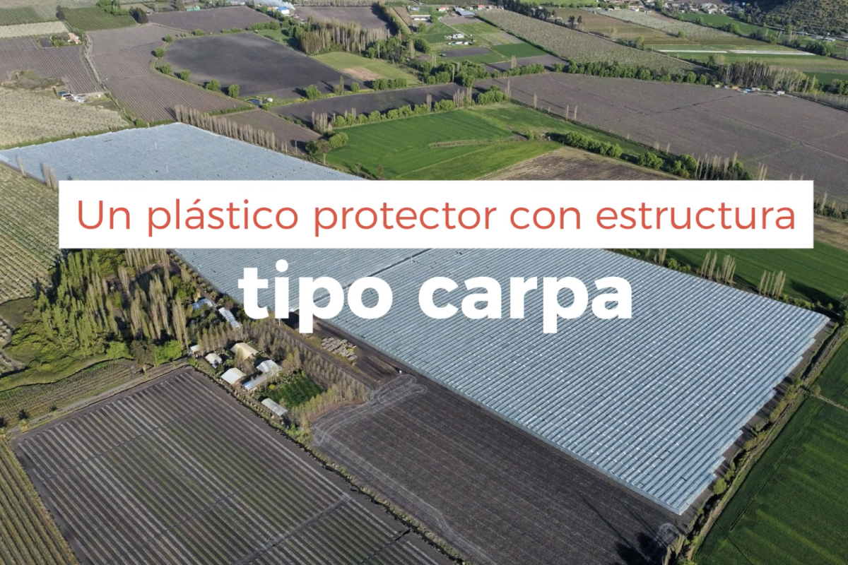 Estructura-tipo-carpa