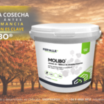 IMAGEN ARTICULO SMARTCHERRY