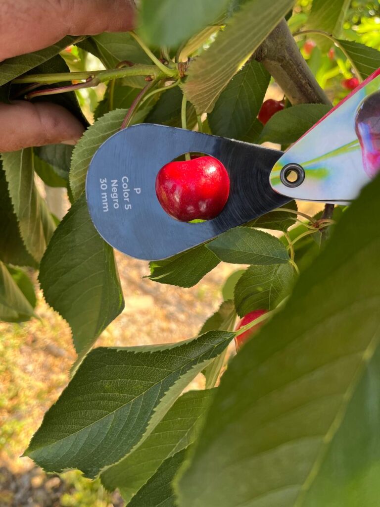 WhatsApp Image 2026-02-04 at 12.04