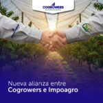 WhatsApp Image 2026-02-17 at 13.08.37