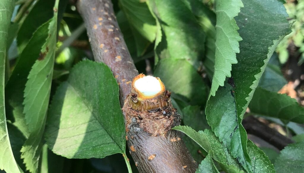 portada-1400x800-2024-01-03T123658