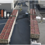 Captura de pantalla 2026-03-20 a la(s) 11.11.34 a.m.