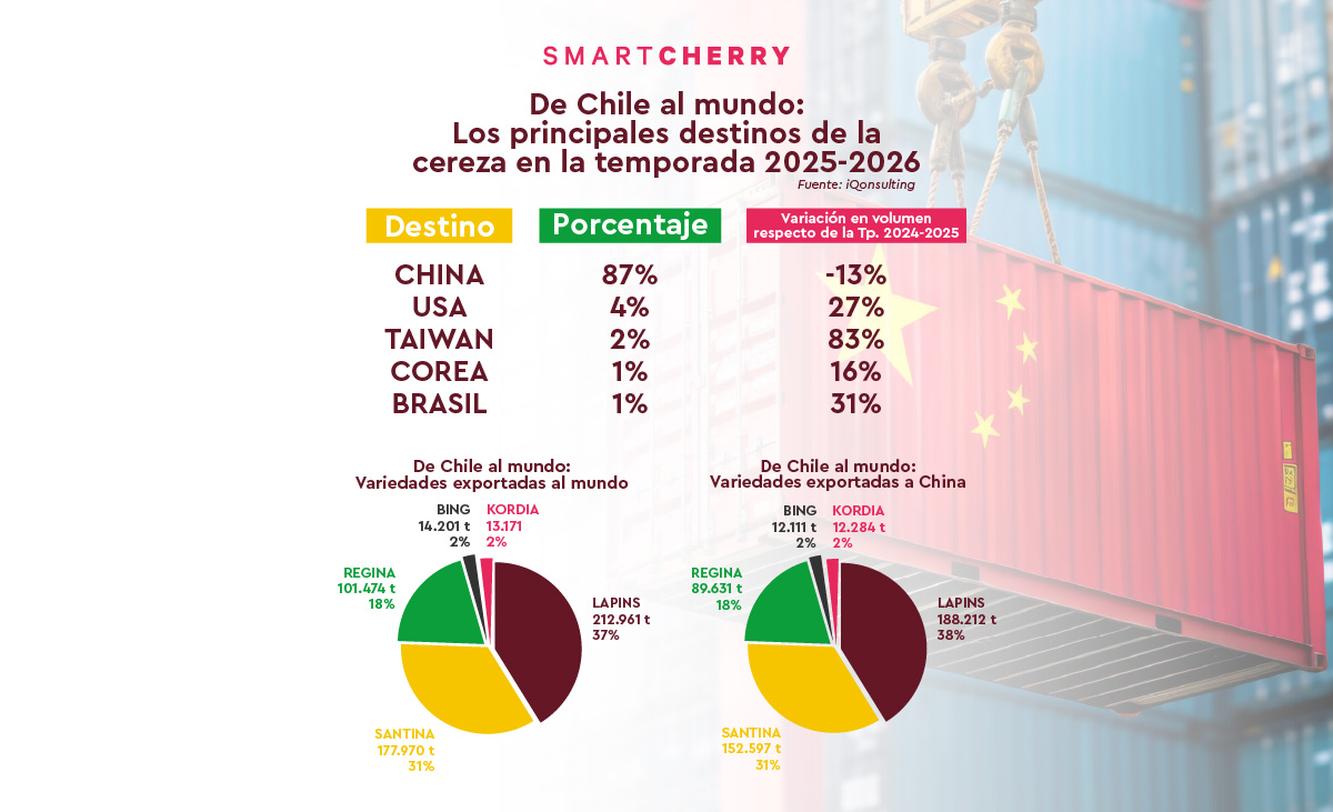 Infografías archivo - Smartcherry