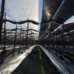 WhatsApp Image 2026-03-10 at 11.06.01