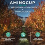 WhatsApp Image 2026-03-18 at 15.54.37