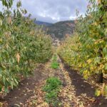 WhatsApp Image 2026-03-27 at 10.28.28