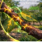 post Nacillus + Biorend