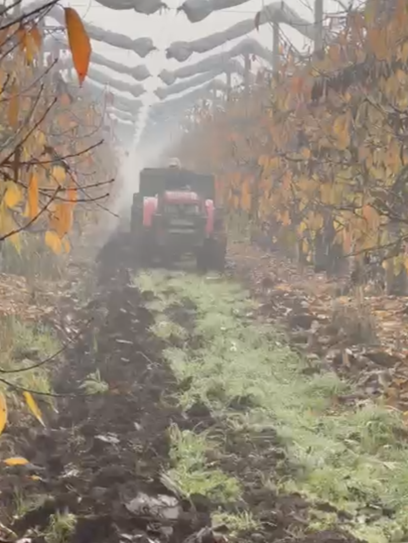 Captura de pantalla 2026-04-10 a la(s) 5.07.36 p.m