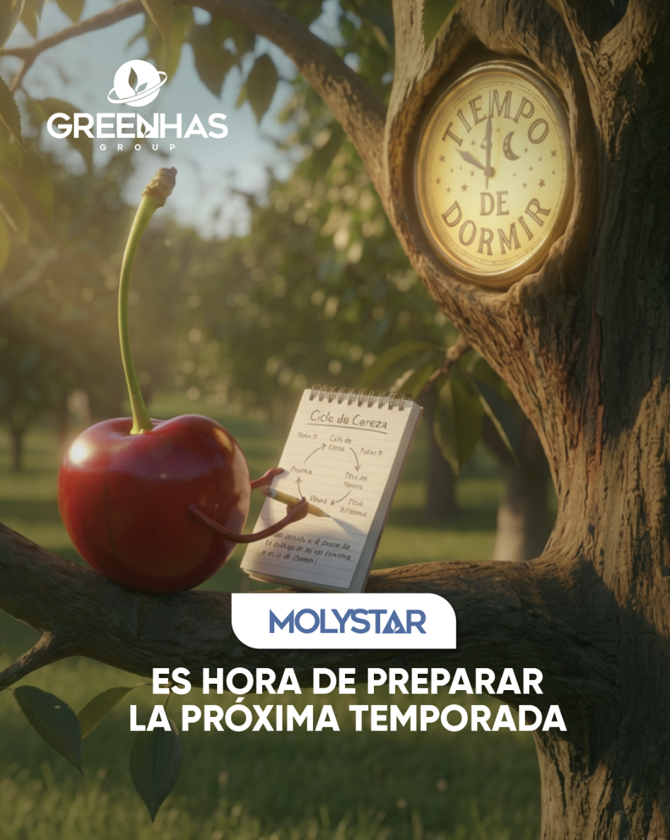 Captura de pantalla 2026-04-13 a la(s) 11.29.38 a.m