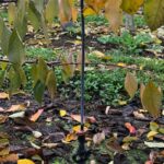 Huerto cerezos_suelo