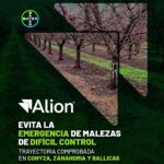 WhatsApp Image 2026-04-07 at 13.00.23