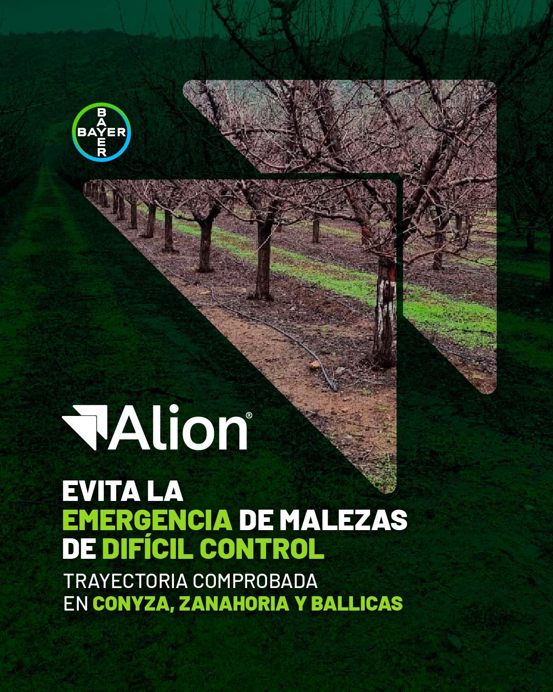 WhatsApp Image 2026-04-07 at 13.00