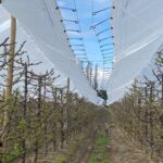 WhatsApp Image 2026-04-13 at 15.43.22