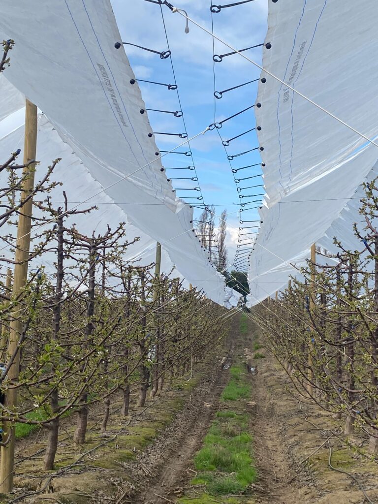 WhatsApp Image 2026-04-13 at 15.43