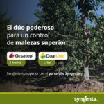 WhatsApp Image 2026-04-21 at 12.47.24