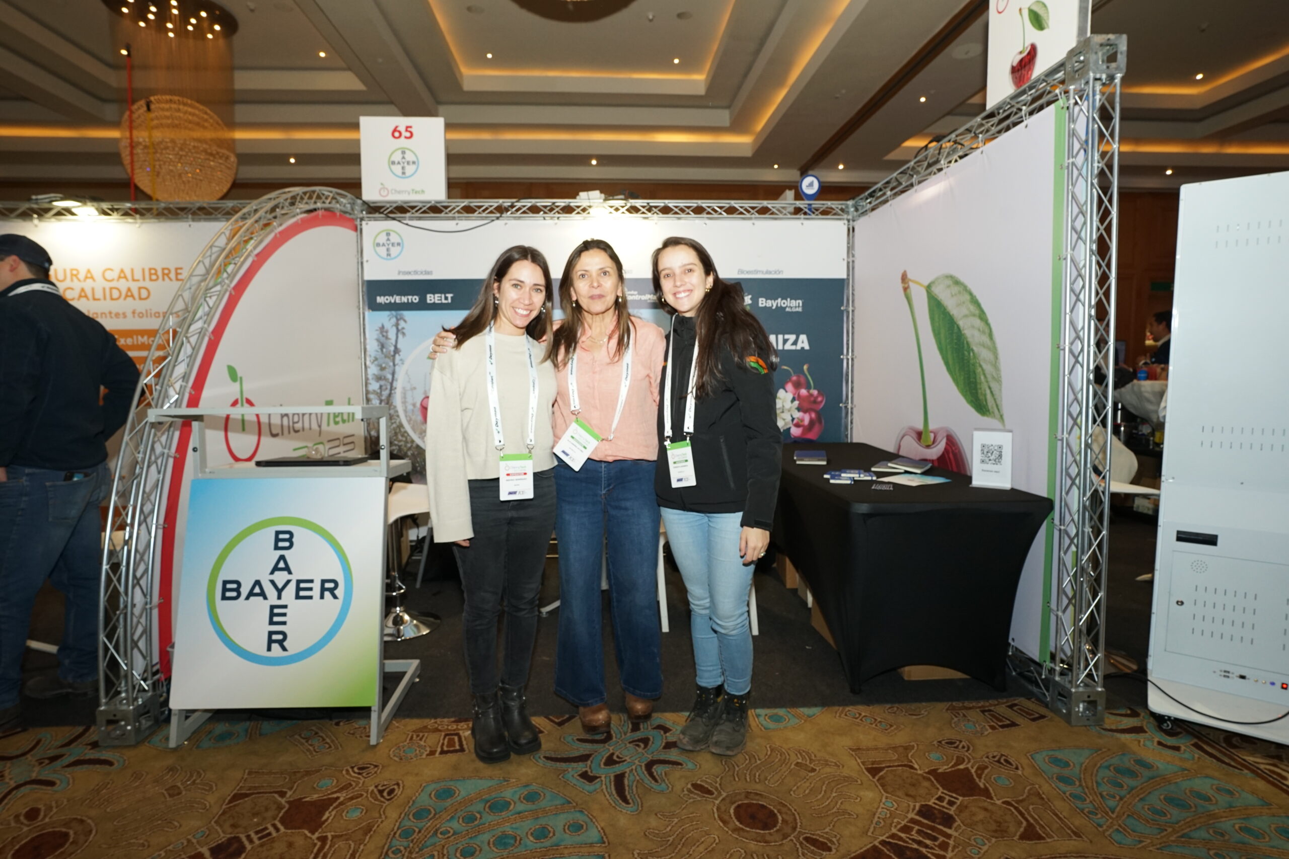 Copia de Copia de YGc2 (293)